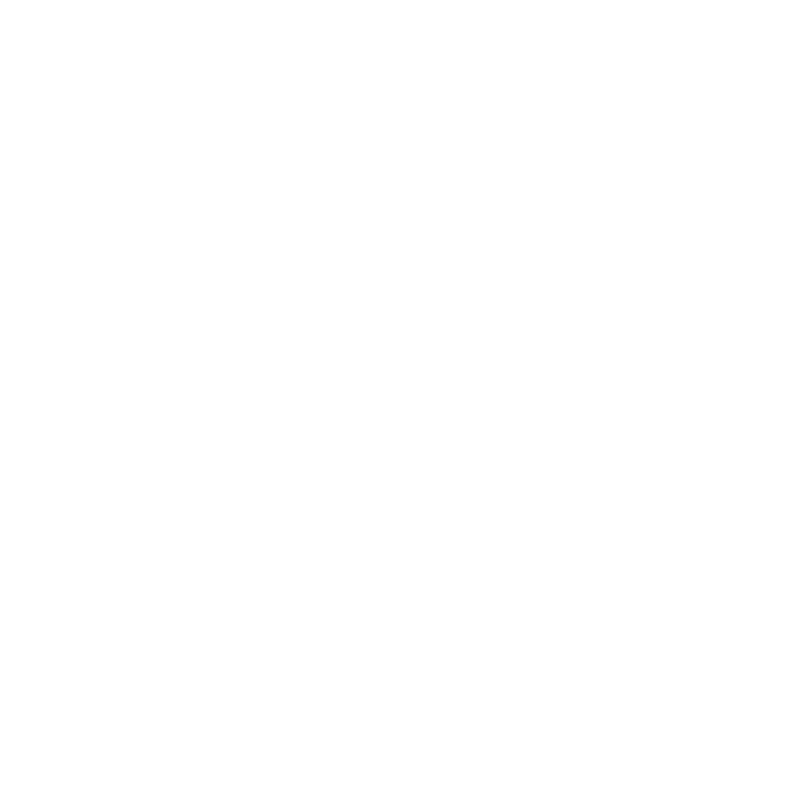 Swim Academy Logo